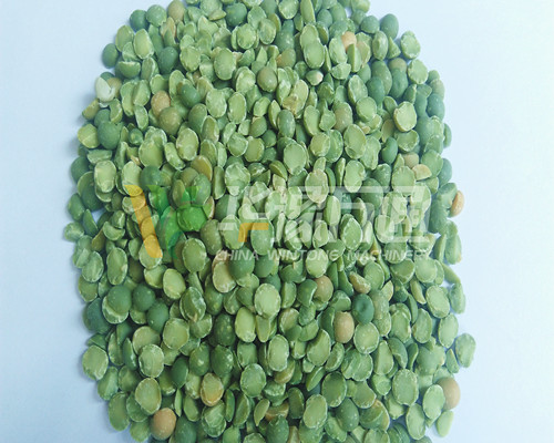 <a href=http://www.g-ma.cn/product/8/ target=_blank class=infotextkey>豌豆脫皮機(jī)</a>